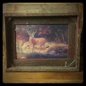 Framed Whitetail deer print